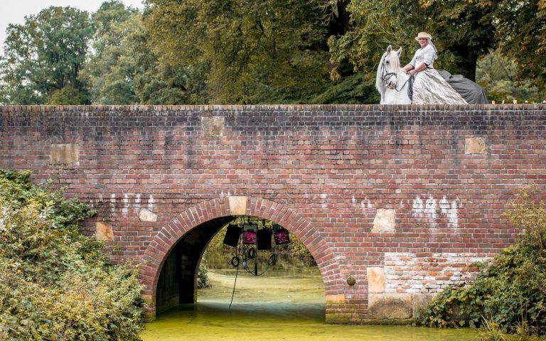 Paardendemonstraties